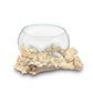 Driftwood glass bowl XL-1
