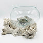 Driftwood glass bowl XL-2