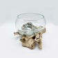 Driftwood glass bowl L-1