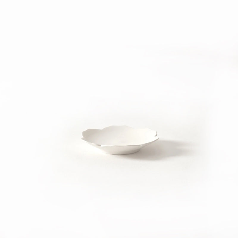 YURI DISH /くも［KIWAKOTO］